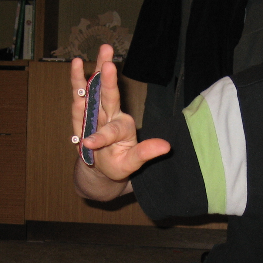 IMG_2032.jpg